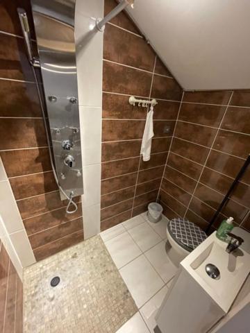 Studio Privee Vesoul -Wifi,Tv,Clim,Parking Gratuit Eksteriør bilde